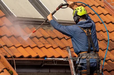 Démoussage et hydrofuge de toiture à Lichères